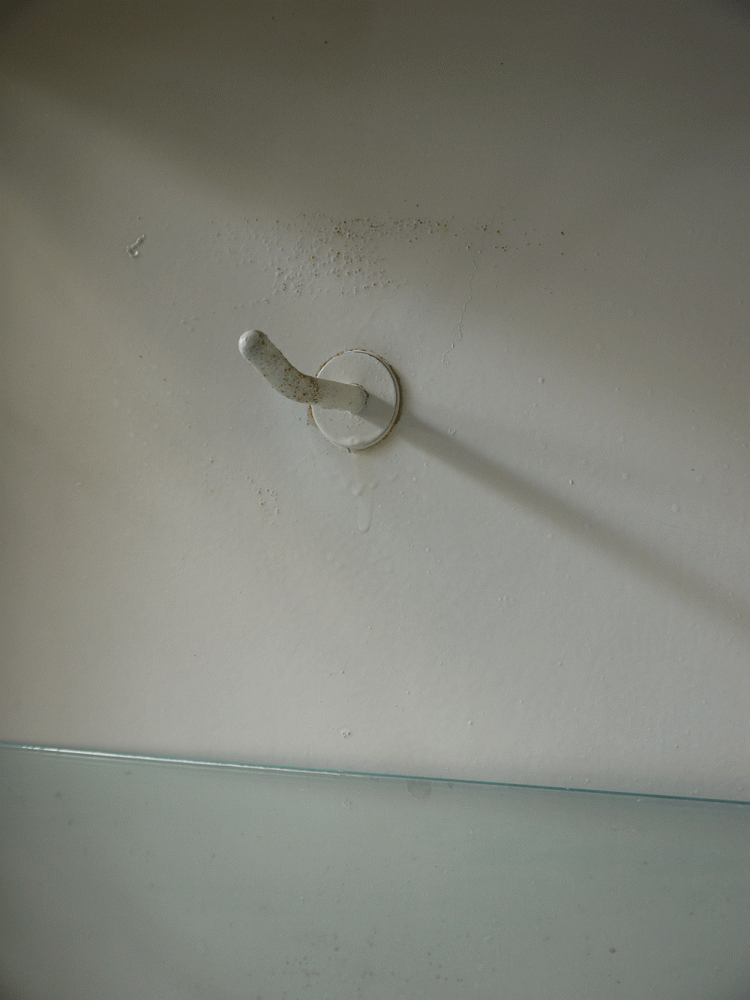 European – Vintage Hospital Medical Cabinet